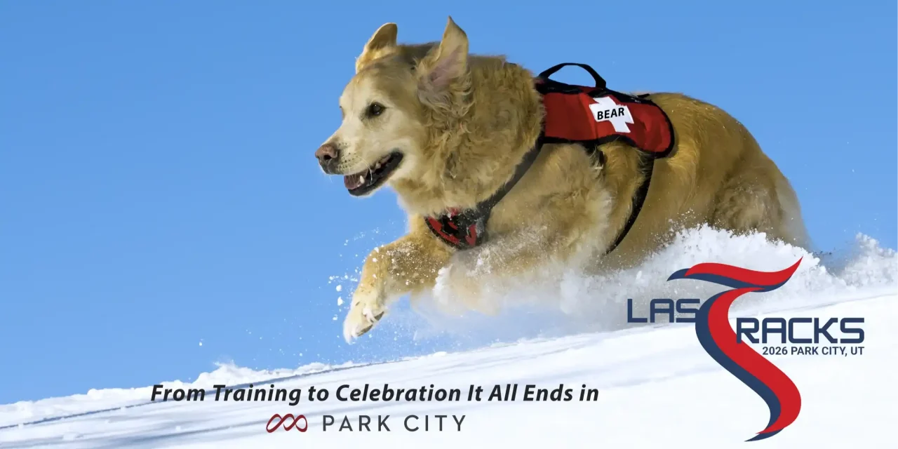 BTsHdsqwRummuTLY7Yg0